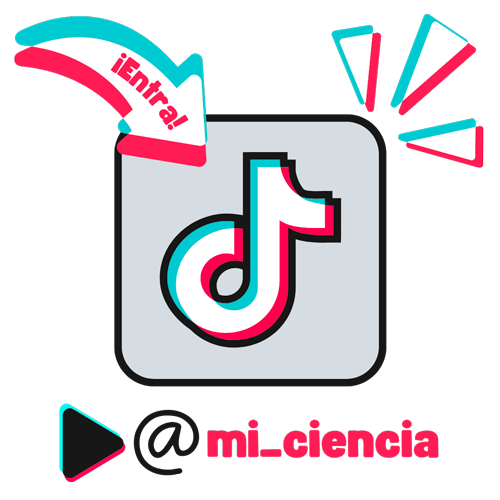 seccion-tiktok-4