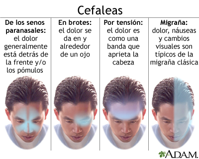 organo no siente dolor