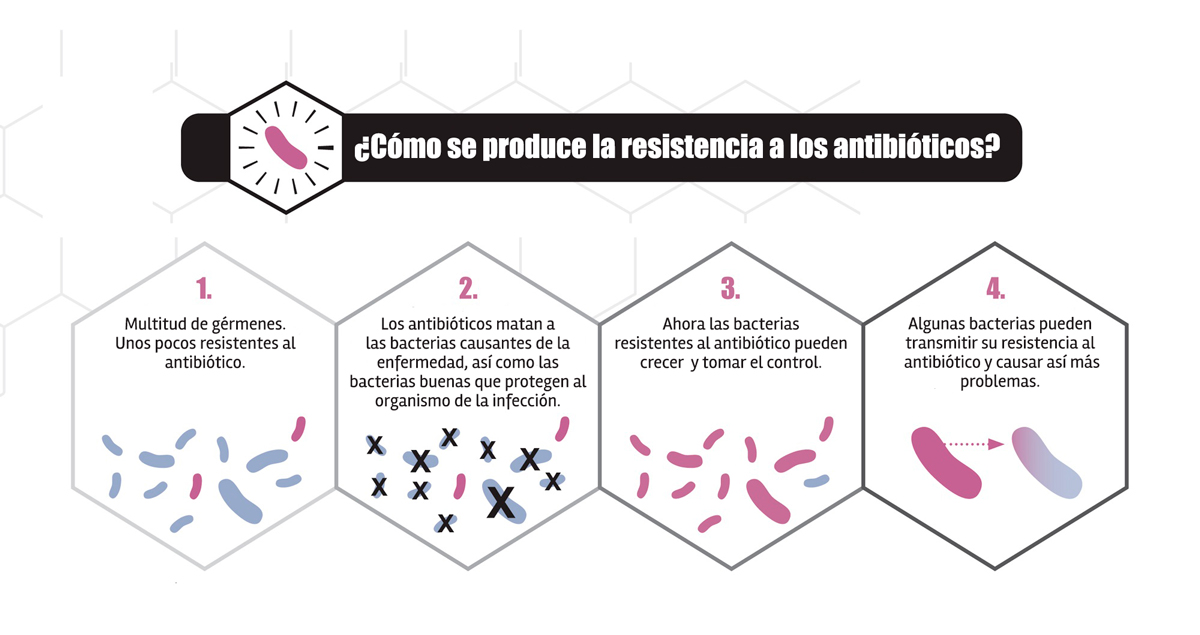 bacterias resistentes a los antibioticos